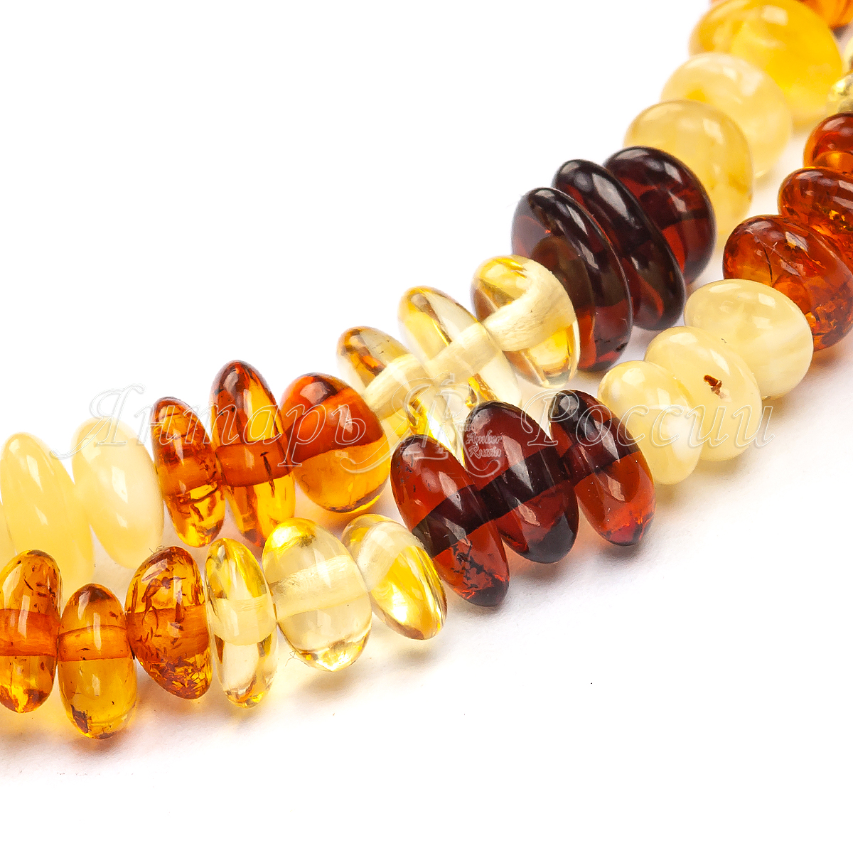 5514003_3 (2) 5514003_3 (2)