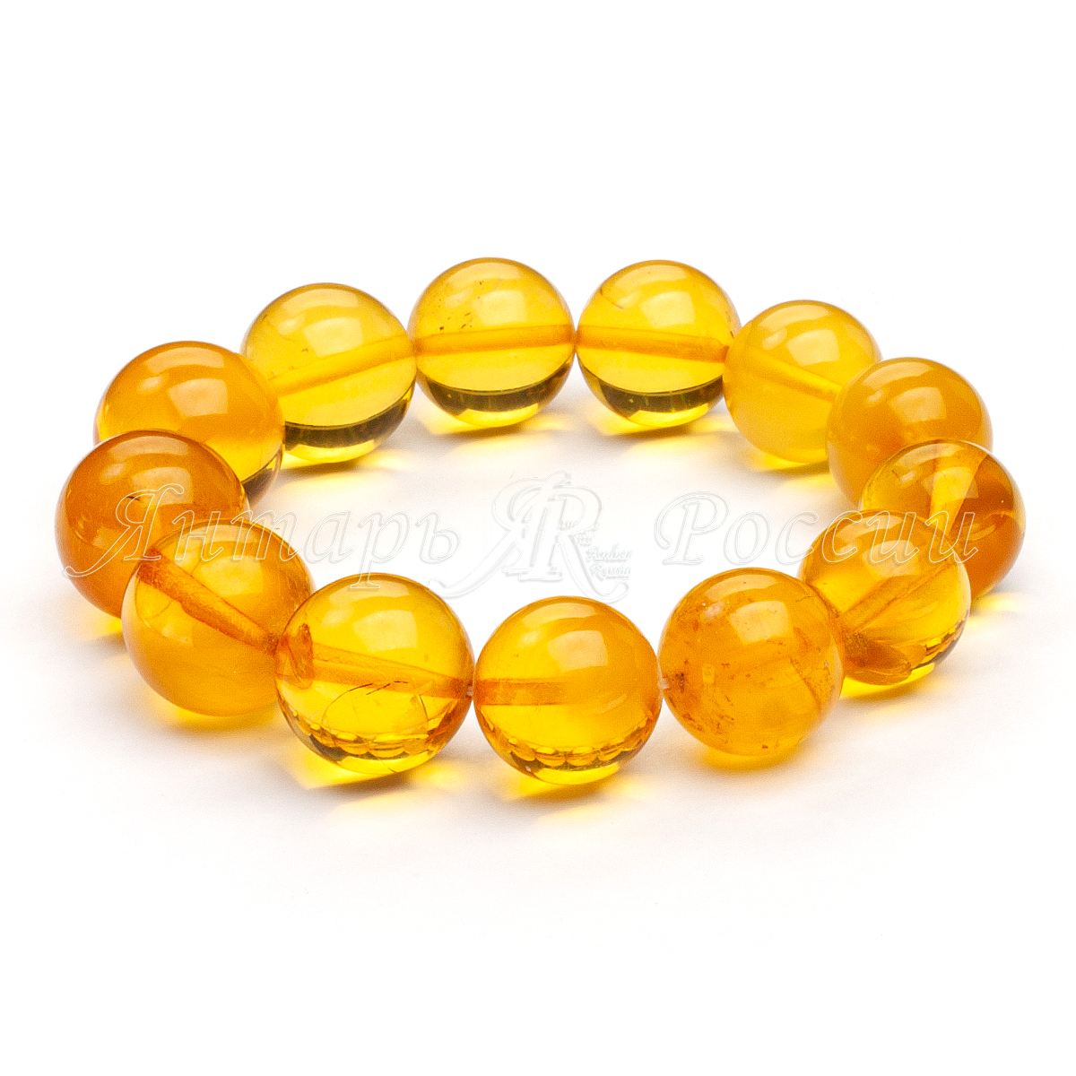 3401167709 3401167709