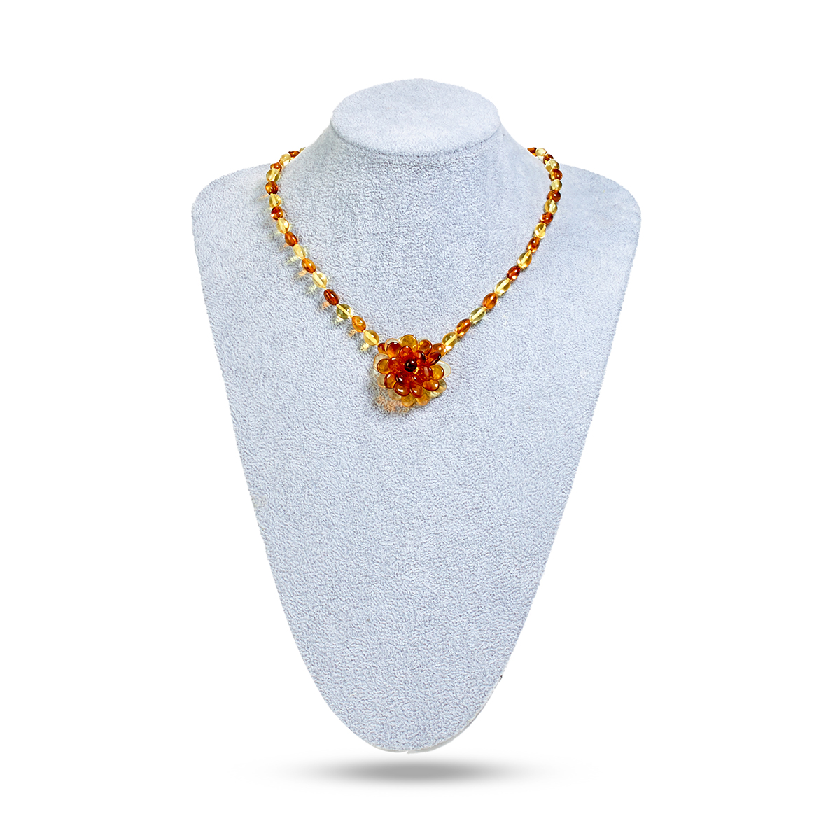 5563020499_2 5563020499_2