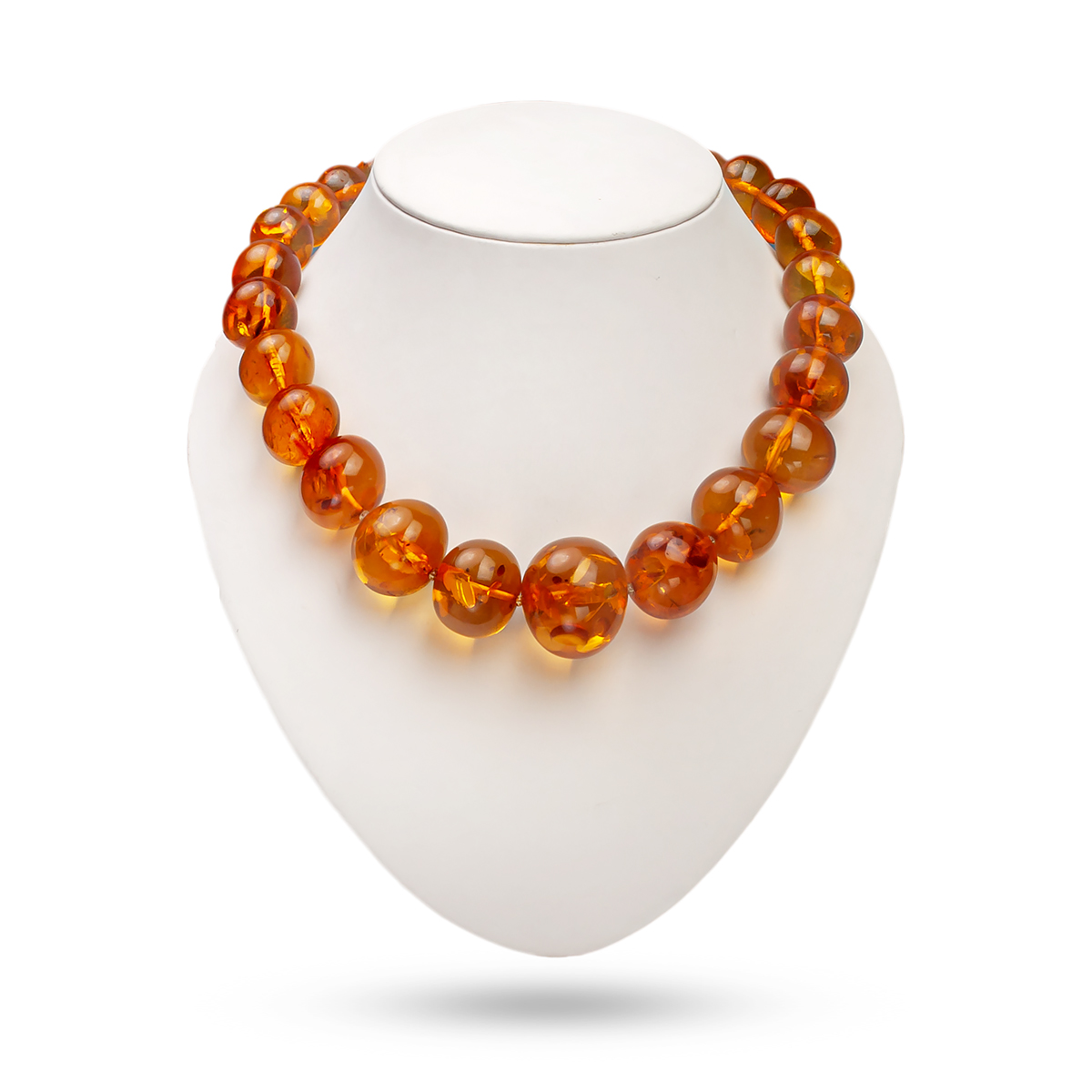 5102067721_2 5102067721_2