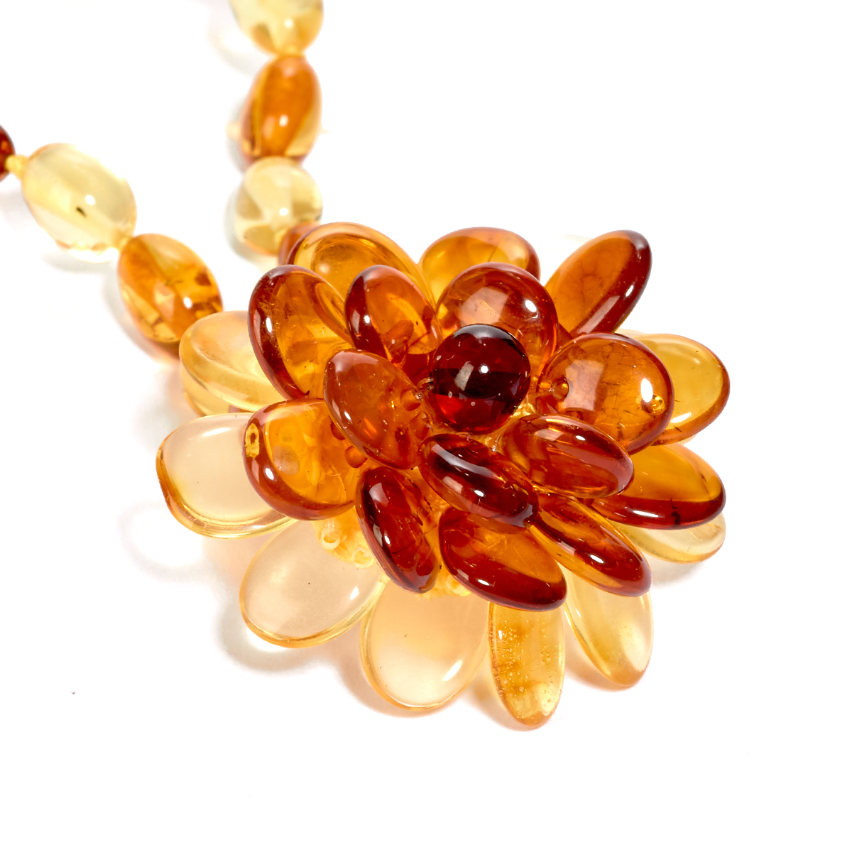 5563020499_3 5563020499_3