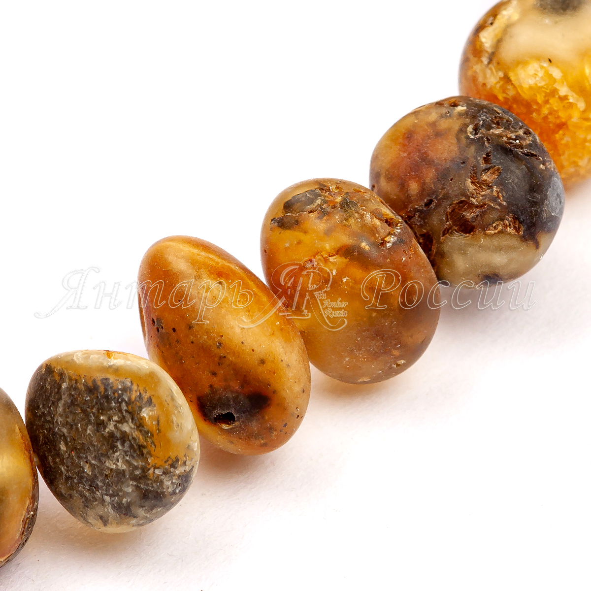 32115216_2 32115216_2