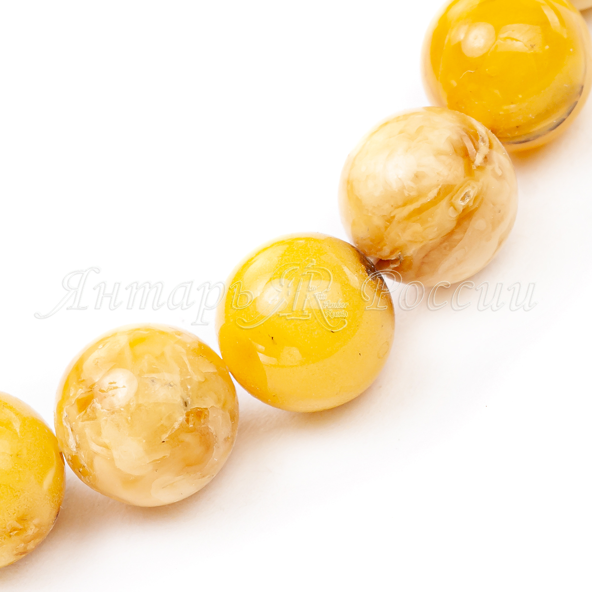 33117857_2 33117857_2