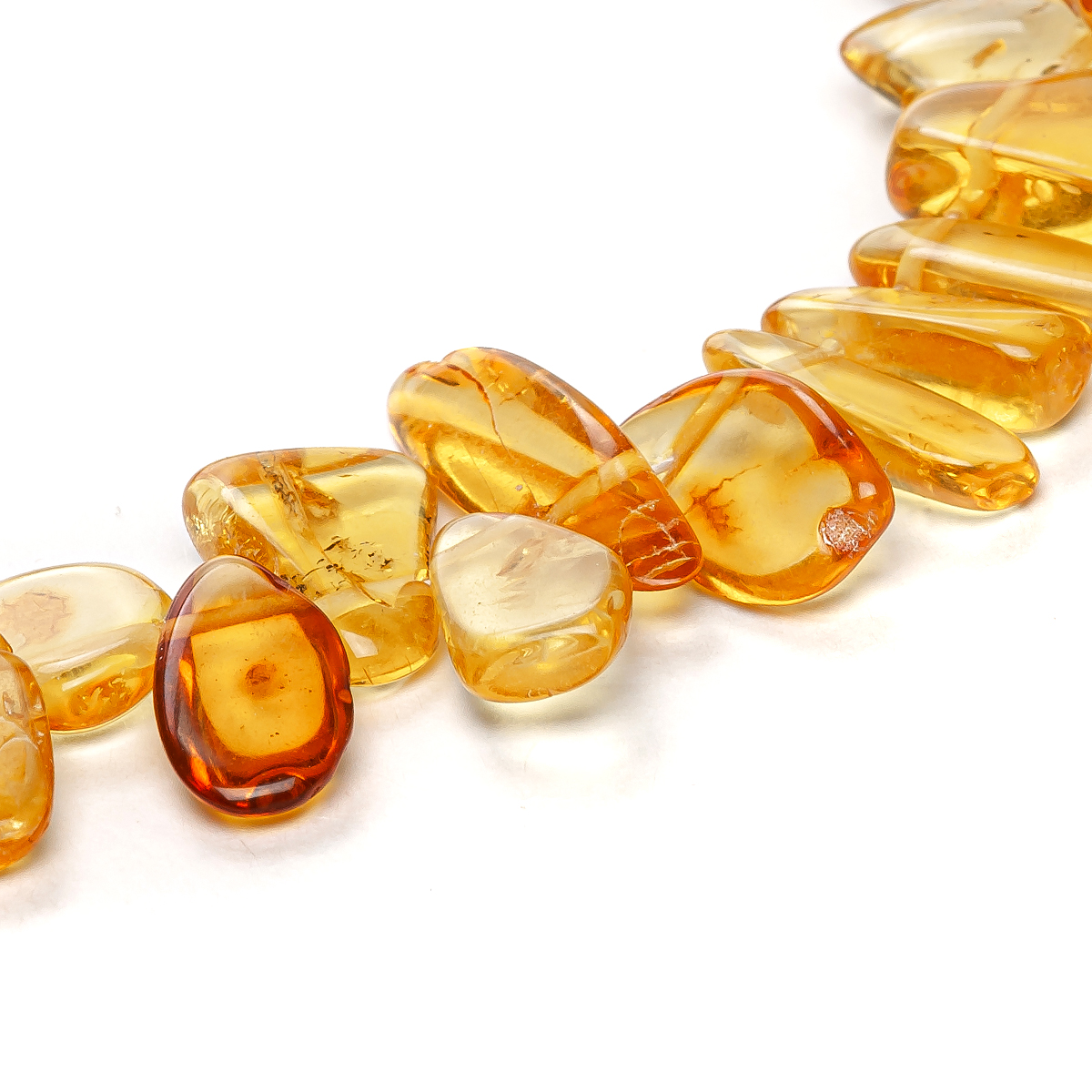 540102704_3 540102704_3